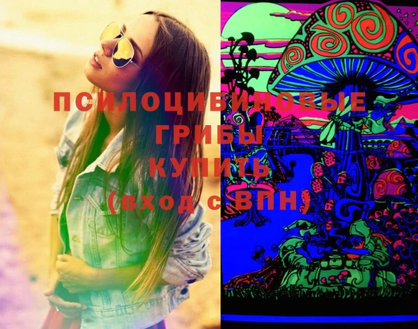 ешки Белокуриха
