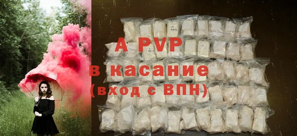 ешки Белокуриха