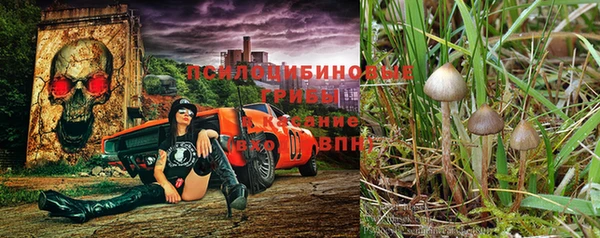 ешки Белокуриха